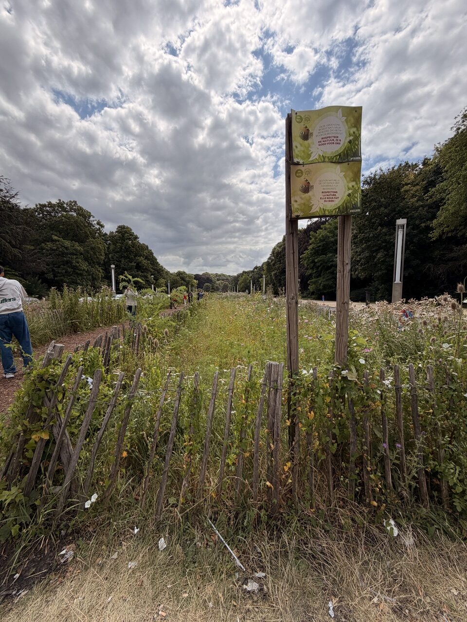 Bunt blühende Wildblumenwiese in einer Parkanlage, eingefasst von einem niedrigen Holzzaun. Ein zweisprachiges Schild bittet darum, die Natur zu respektieren und nicht in die Fläche zu treten. Im Hintergrund stehen Bäume und mehrere Menschen unter einem stark bewölkten Himmel.