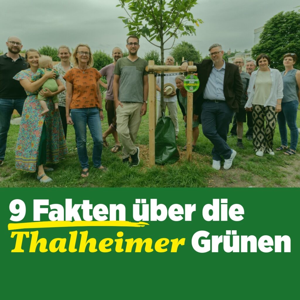 Neun Fakten über die Grünen Thalheim und warum Nummer 9 die wichtigste ist